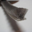 The Hairy Worm Grey Slide In Brush Pile 11 mm Base  X 12 mm Height Without FIN