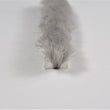 The Hairy Worm Grey Self Adhesive Brush Pile 8.6 mm Base X 10 mm Height
